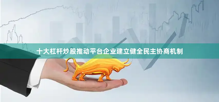 十大杠杆炒股推动平台企业建立健全民主协商机制